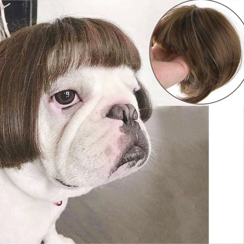 Pet Wigs Cosplay Props Dog Cat Cross-Dressing Hair Set Photography Funny Props Head Accessories Prank Pet Supplies Costumes DIY