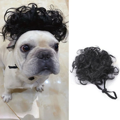 Pet Wigs Cosplay Props Dog Cat Cross-Dressing Hair Set Photography Funny Props Head Accessories Prank Pet Supplies Costumes DIY